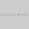 Homocysteine ELISA kit, 96 tests, Quantitative